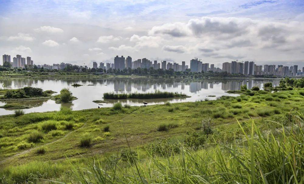 位于汉江上游的陕西省汉中市汉江湿地公园植被葱翠,江水秀美,让人心