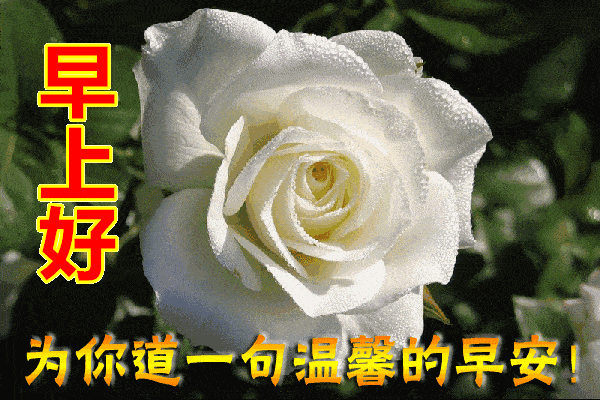 夏季超温暖早上好温馨问候语表情图片,早晨好问候祝福