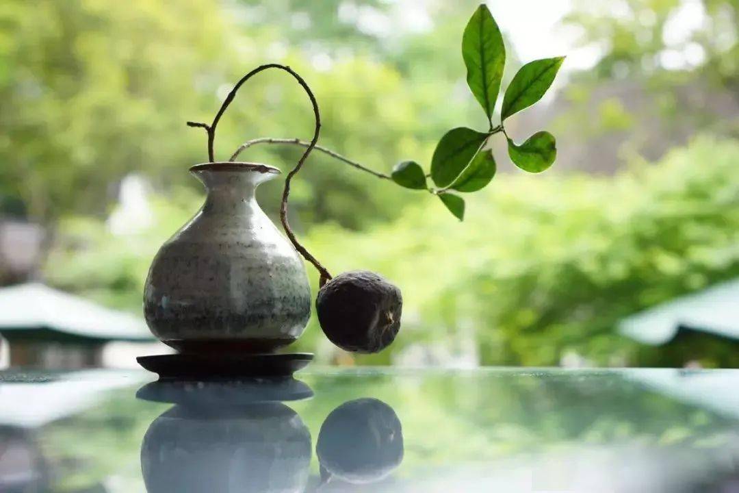 赵匡胤|如果社会病了，你有药吗？| 鬼谷子--「抵戯」