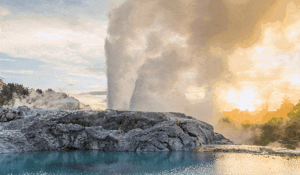 吸铁石|新西兰百年历史“污垢吸铁石”,15分钟告别黑头、粉刺、闭口!