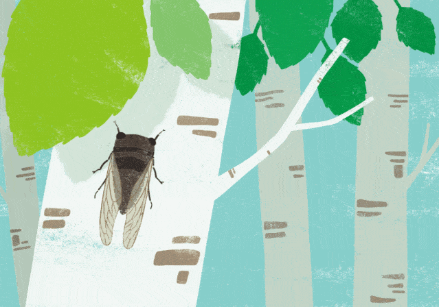 夏天 summer 气温36.