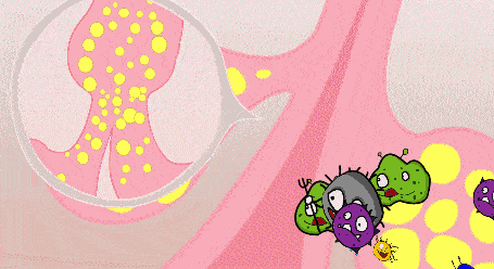 吸铁石|新西兰百年历史“污垢吸铁石”,15分钟告别黑头、粉刺、闭口!