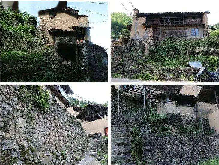 第四站:新兴镇朱山村