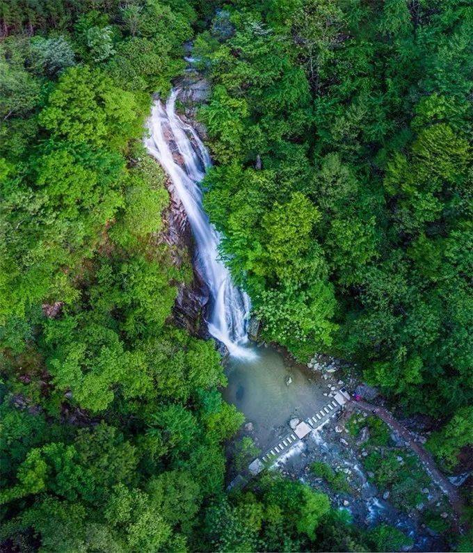 燕子河镇gdp_燕子简笔画(3)