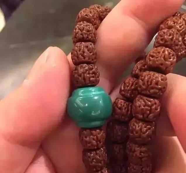 要点|菩提搭它，惊艳！