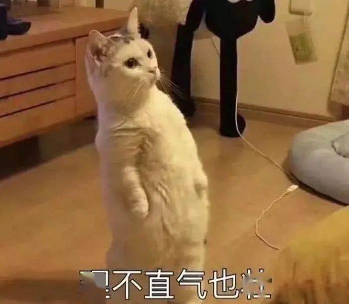 美女|各省女生长相评分表，谁最丑？