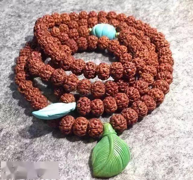 要点|菩提搭它，惊艳！