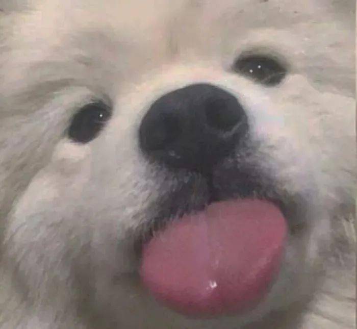 特别污情侣头像摸下面一人一半图片