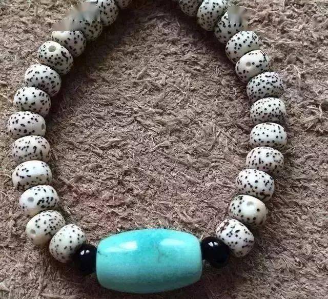 要点|菩提搭它，惊艳！