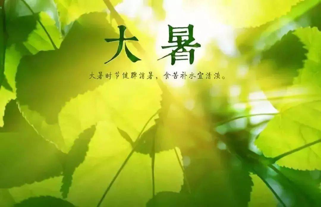 三伏天除了炎热,还是更好养生的好时节,更加是一个需要避病的日子