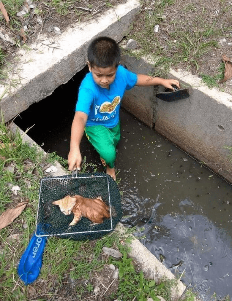 小男孩爬进臭水沟,本想说他调皮,下秒忍不住给他点赞_孩子