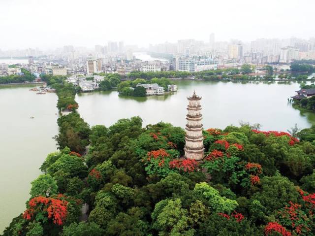 惠州|苏东坡的“两个西湖”