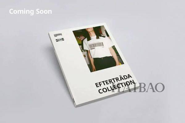 侃爷|Taylor闷声干大事，麻辣鸡官宣怀孕消息