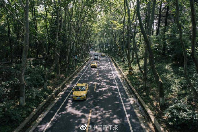 人品|大四学生毕业前被开除：人品，才是最硬的底牌！