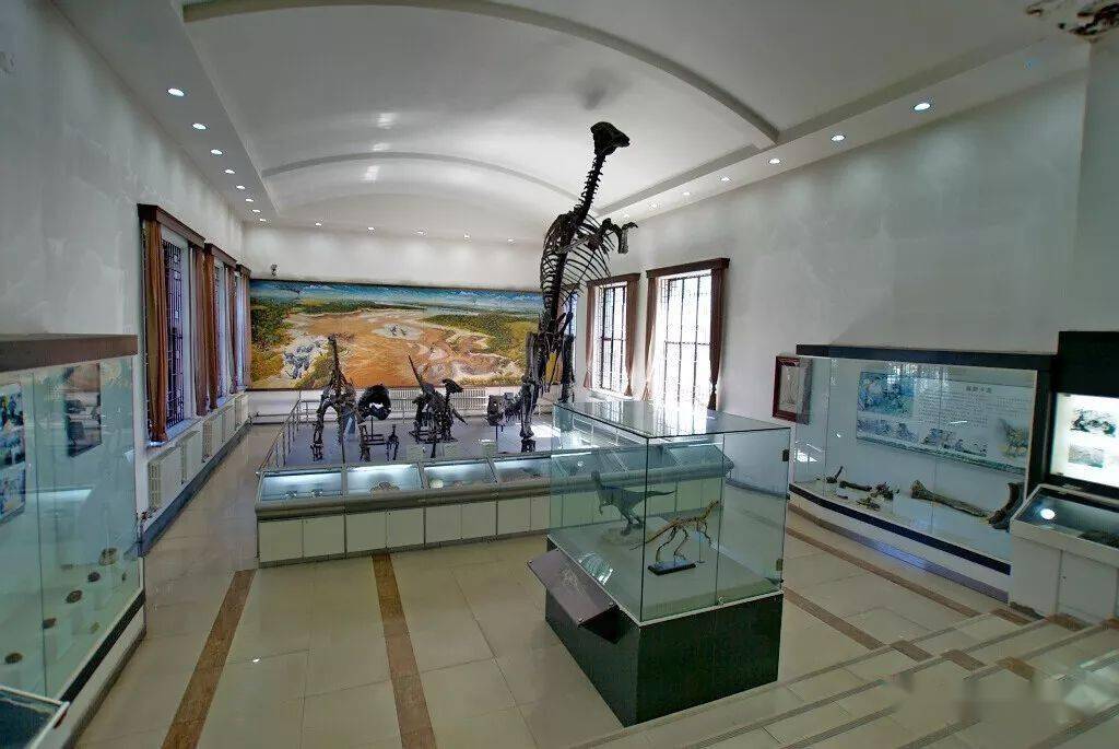 长春地质学院(今吉林大学地学部)与黑龙江省博物馆合作,在黑龙江省