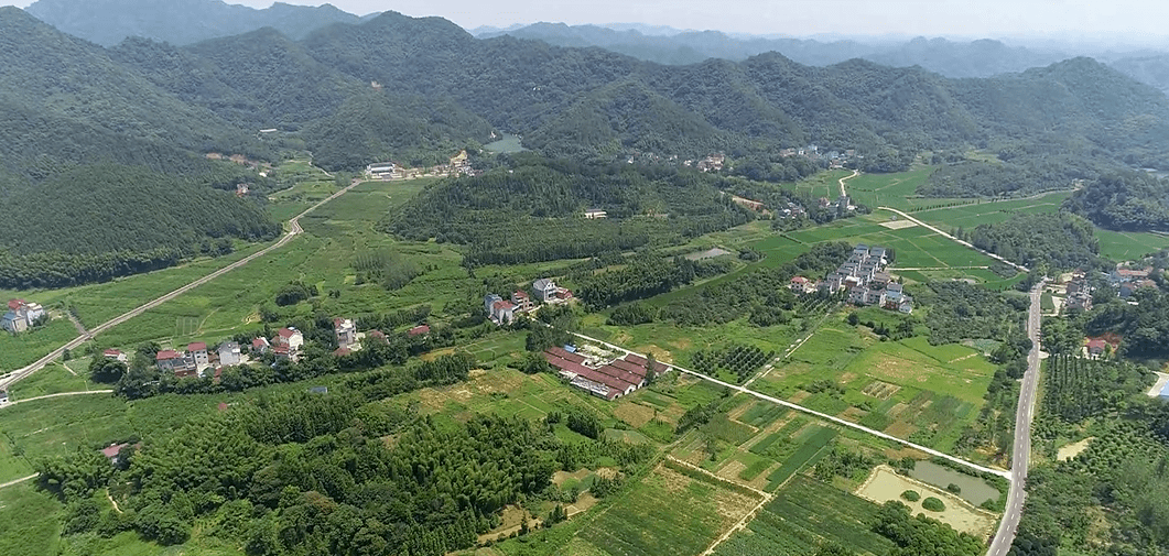 玉山有多少人口_台湾阿里山我来了 眼前的景色真是太美啦(3)