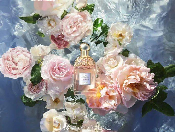 玫瑰|最近让我觉得好玩儿的事儿