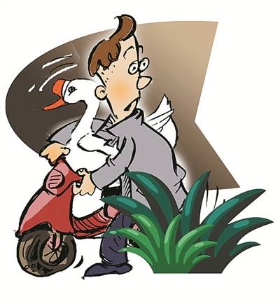 余姚|小恶也会酿成大错 偷盗四只白鹅获刑