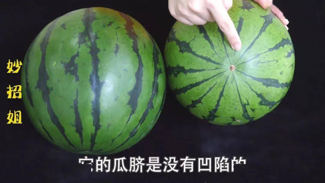同样成熟的西瓜,它的瓜蒂周围也是有微微凹陷的