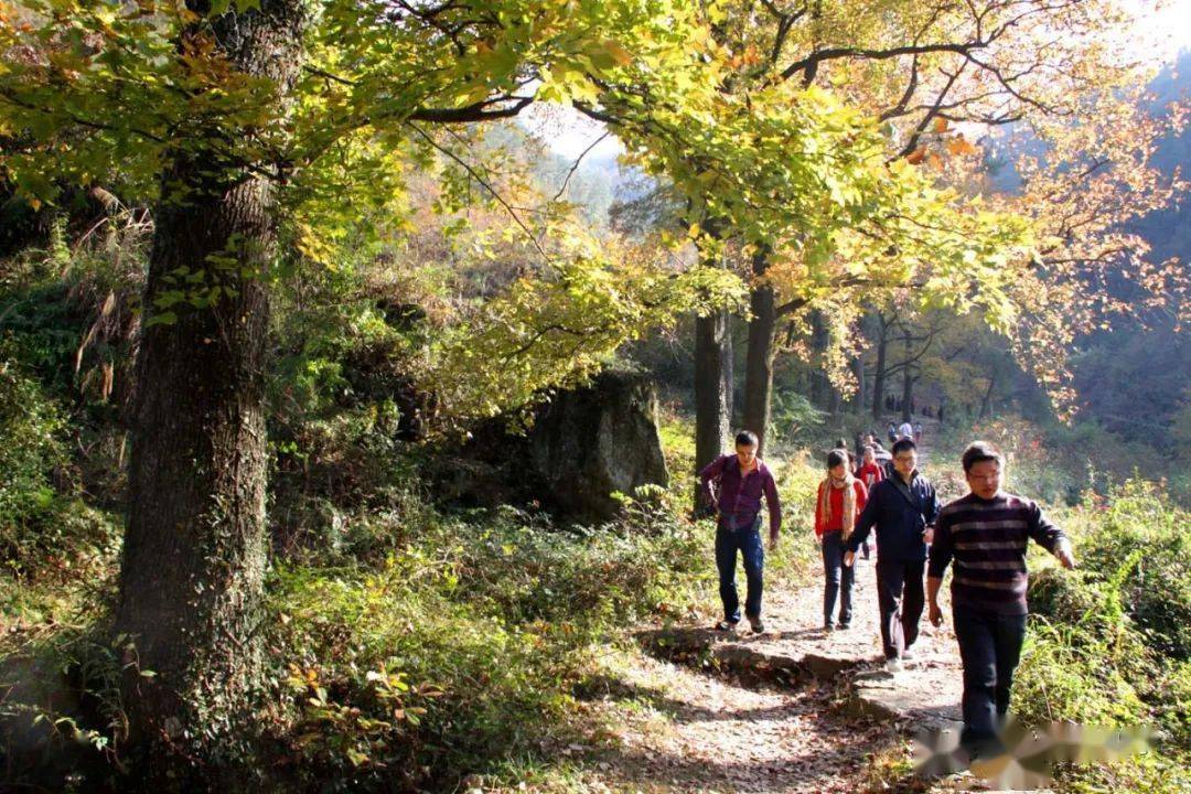 杨再兵带领村民吃上旅游饭