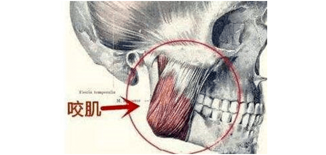 集体|比发福更可怕，人到中年为何集体“发腮”？