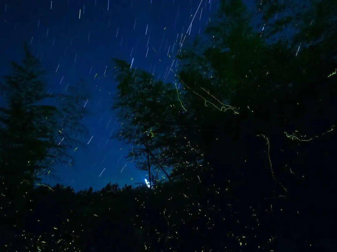 △星空实拍 03 《古溪星河》微电影刚好上映~ 拉上暗恋已久的那个她