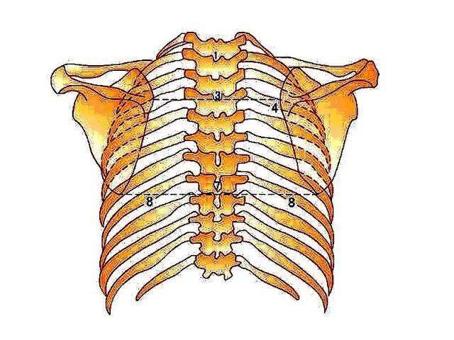 正骨高手必备脊柱每一节段的定位方法