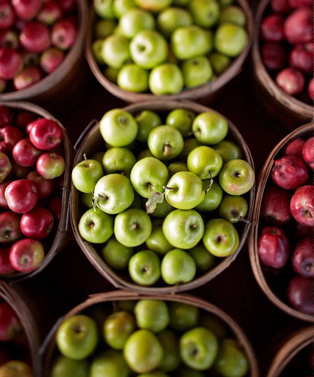 爱德华王子|听说了吗？好吃的东西都是0卡路里！