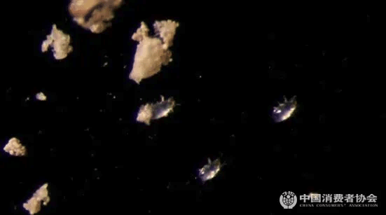 测试|20款除螨产品比较试验：戴森、美的除螨率超过90%；松下表现最差