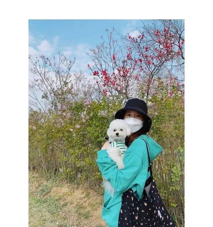 Rootote|王漫妮的通勤包一大摞，这随性帆布袋最靠谱