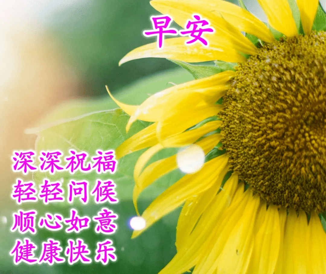 微信朋友圈早上好问候祝福语表情图片全集 唯美的早晨