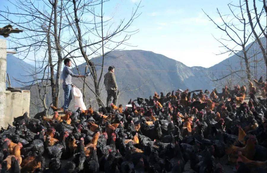 泸定县有多少人口_泸定县有什么好玩的(2)