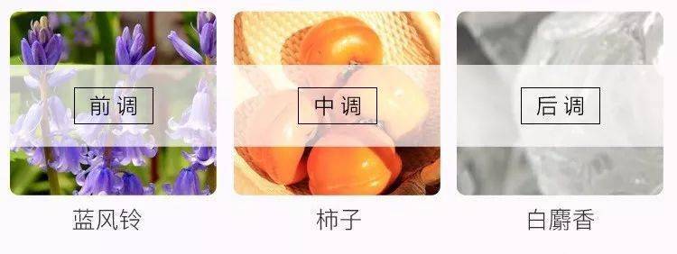 基础|人人都有的基础款，凭什么别人穿着就是比你好看？