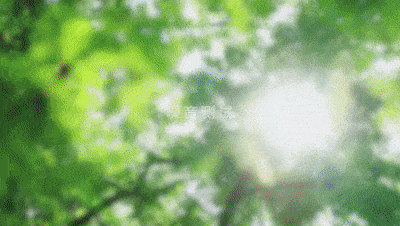 杜邦毛|不到200块，品质不输千元大牌的电动牙刷，1分钟震动41000次！