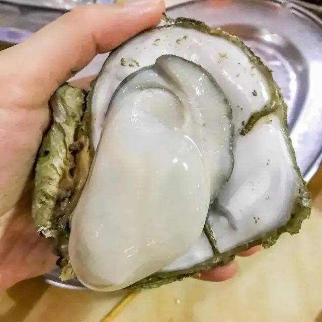 肥仔|减肥真的太难了！因为...在广州