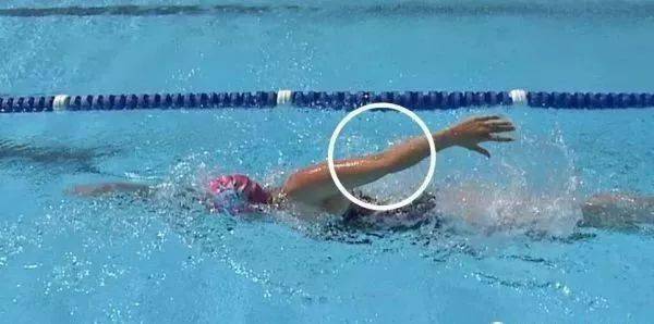 游泳技巧丨自由泳,千万不要直臂过度推水!_手机搜狐网