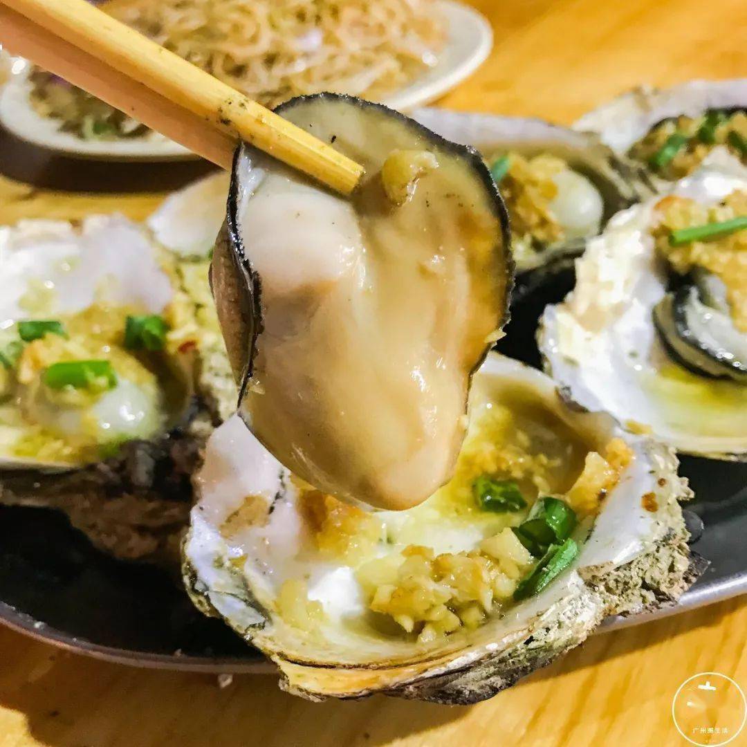 肥仔|减肥真的太难了！因为...在广州