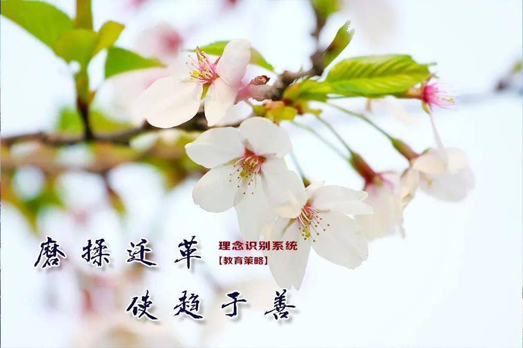 文章配图-10