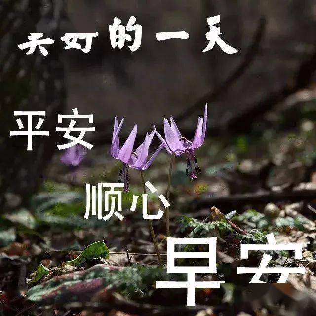 七月早上好问候祝福语图片短信句子 漂亮的早上好暖心