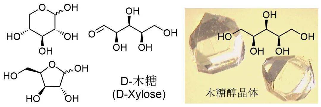 预防龋齿的甜味物质—木糖醇(xylitol)