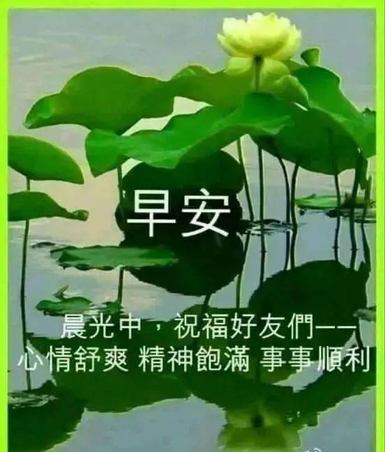 最新最美早上好问候图片带字带祝福语群发早安祝福图片带字朋友圈早上