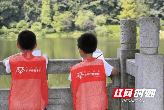 山在|【野羚羊成长记3】穿石坡湖：山在湖心如黛簇，沉醉青山不知归