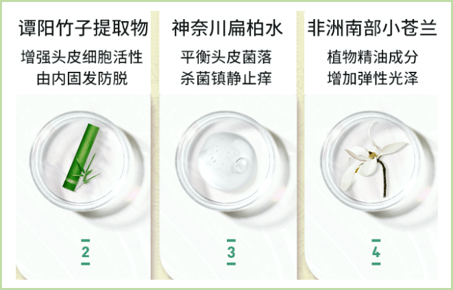 宝箱|小美宝箱精选