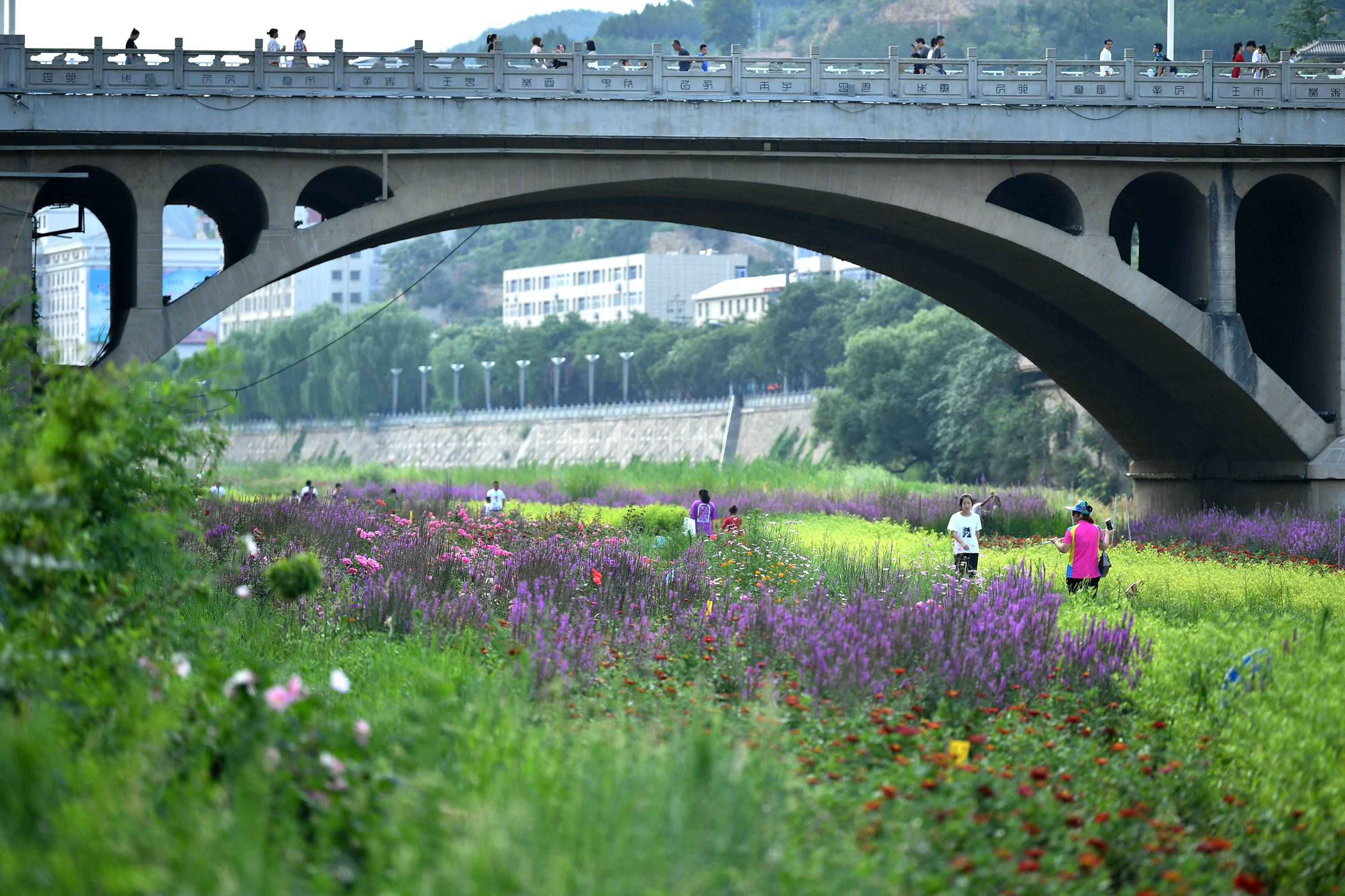 陕西延安:河道综合治理 建设绿色家园_延河