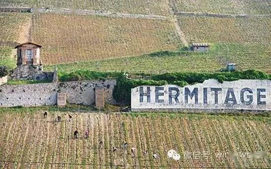 酒庄|【值得珍藏】教你如何捕捉一款葡萄酒的“巅峰”