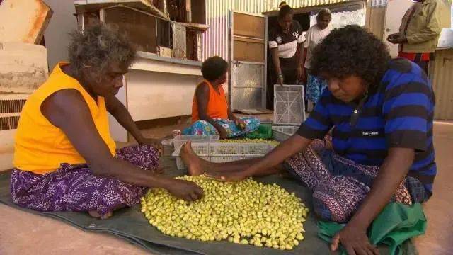 宝箱|小美宝箱精选