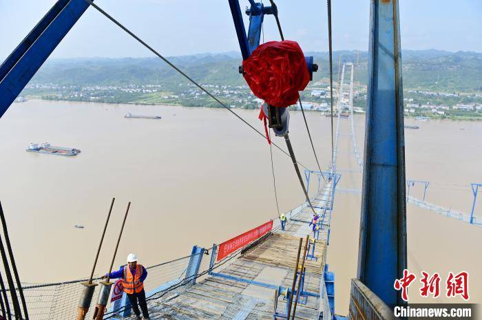 长江|湖北宜昌伍家岗长江大桥进入主缆架设施工