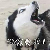 2788c808c39b4e4dba7c4e76c3a9906b.jpeg