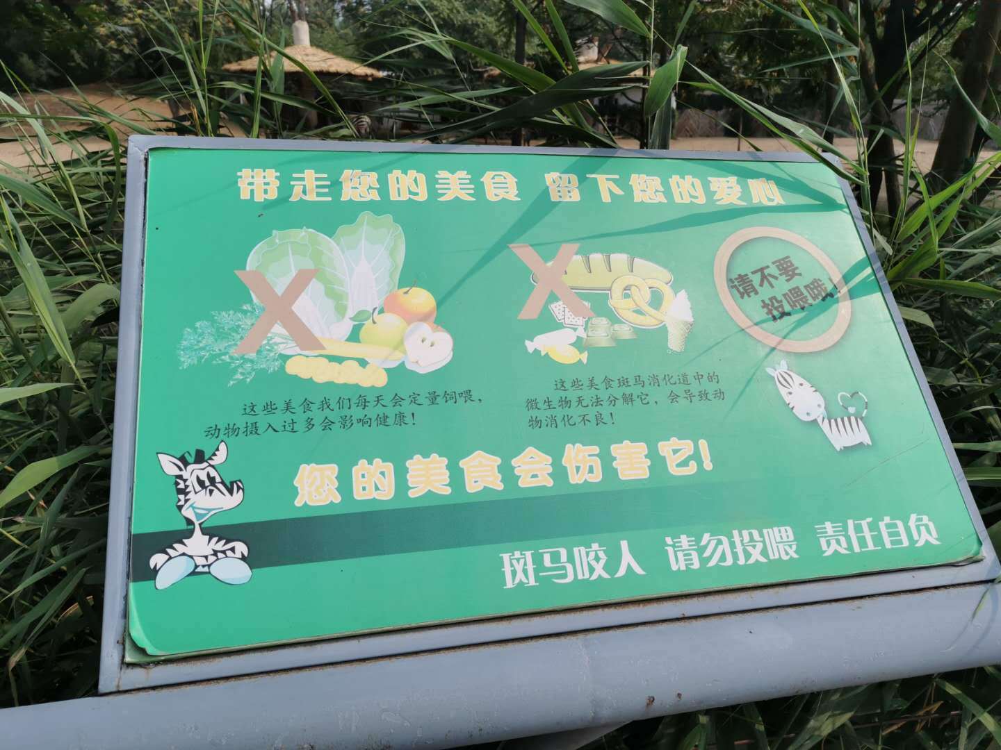 北京动物园溪流景观设警示牌,游客投喂屡禁不止丨向不
