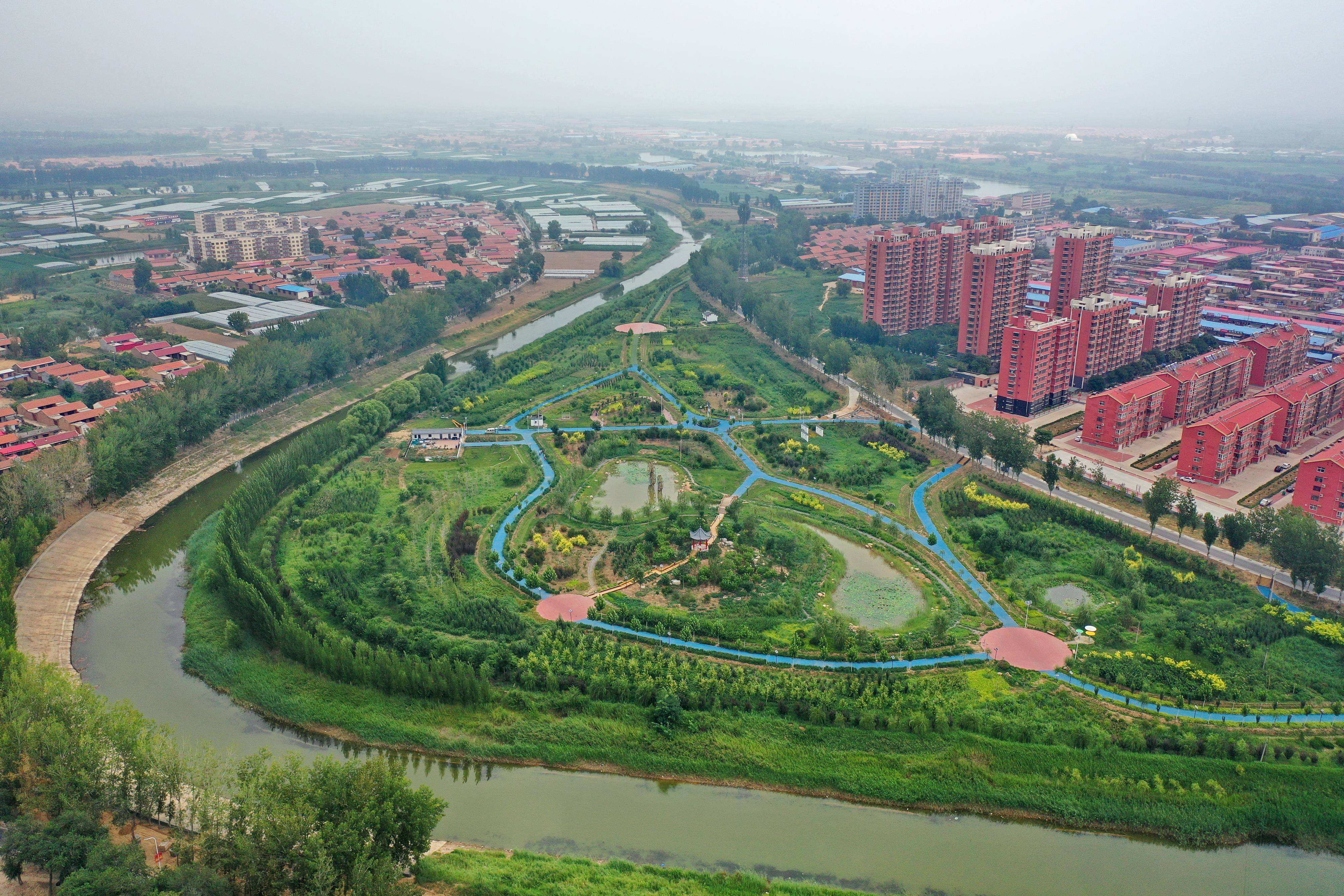 河北青县:大运河荒滩变身生态公园